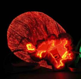 LEDBag