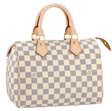 Louis Vuitton Damier Speedy Bag