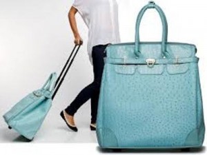 hermes rolling luggage