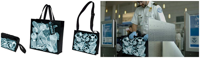 X-Ray Designer Handbags